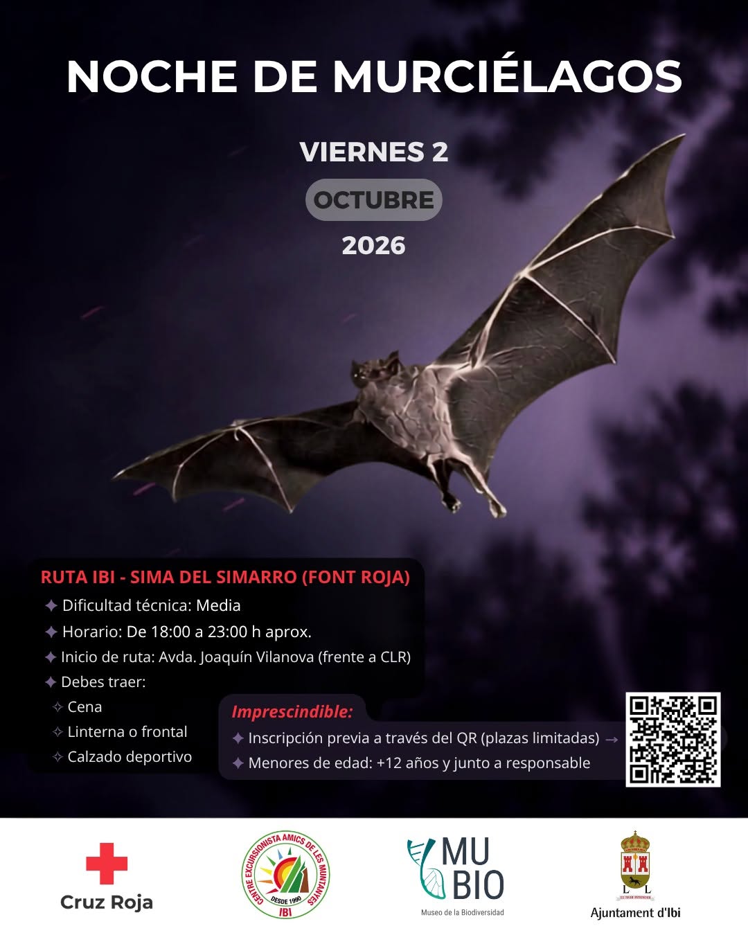 noche de los murcielagos